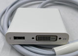 Apple A1306 Mini-Display Port to Dual-Link DVI Adapter