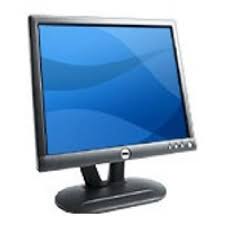 Dell 17" LCD Monitor- E173FPs