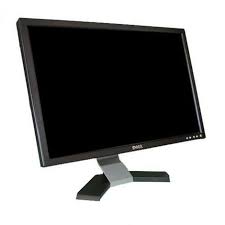 Dell E228WFP 22" Widescreen Flat Panel LCD Monitor