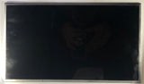 Dell Inspiron N5050 Laptop LTN156AT17 LCD Screen- 04Y4GM