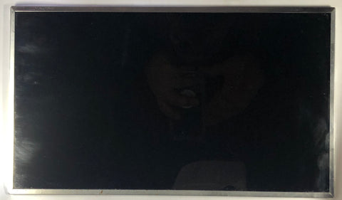 Dell Inspiron N5050 Laptop LTN156AT17 LCD Screen- 04Y4GM
