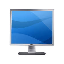 DELL SE197FPF Display - LCD Monitor