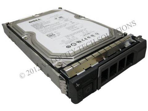 Dell F420T 250GB 32MB 3.0Gbps 7.2K 3.5" Enterprise Class Sata Hard Drive in R & T Series Tray