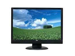 AOC 2016Swa 20" LCD Monitor