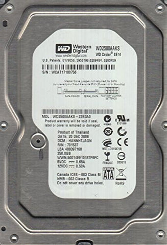 Western Digital 250GB WD2500AAKS-22B3A0, DCM HANNHTJAGN,  SATA 3.5 Hard Drive