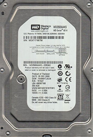 WD2500AAKS-22B3A0, DCM HANNHTJAGN, Western Digital 250GB SATA 3.5 Hard Drive