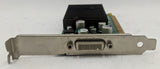 NVIDIA Quadro NVS 280 64MB DDR PCIe Graphics Card