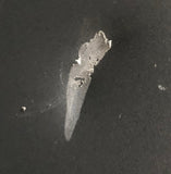 Cisco Catalyst 5002 Series Switch Chasis- WS-C5002