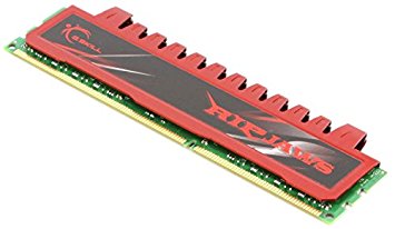 G.Skill Ripjaws Series 2GB Desktop DDR3 RAM Memory- F3-12800CL9D-4GBRL