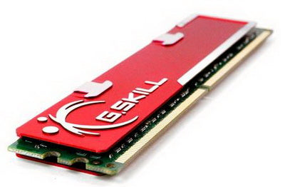 G-Skill F2-6400CL5D-2GBNQ 1GB DDR2 Desktop RAM Memory